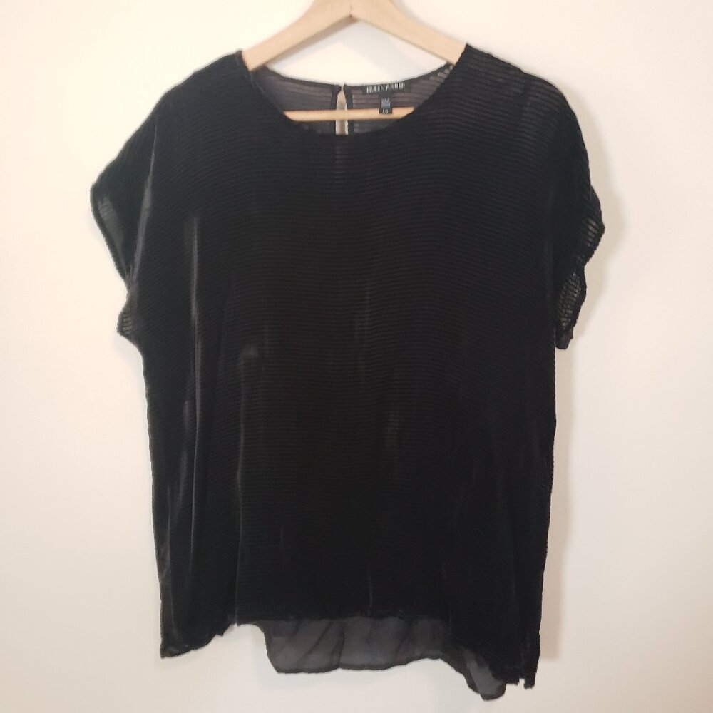 Eileen Fisher velvet transluscent shell with coordinating silk cami